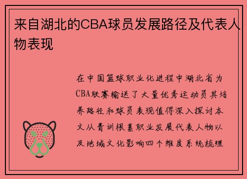 来自湖北的CBA球员发展路径及代表人物表现